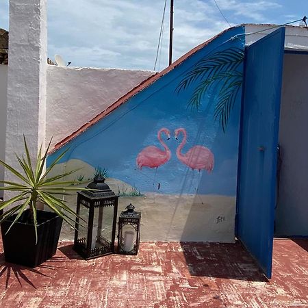 Casa De Los Dos Flamencos 米拉马尔 外观 照片